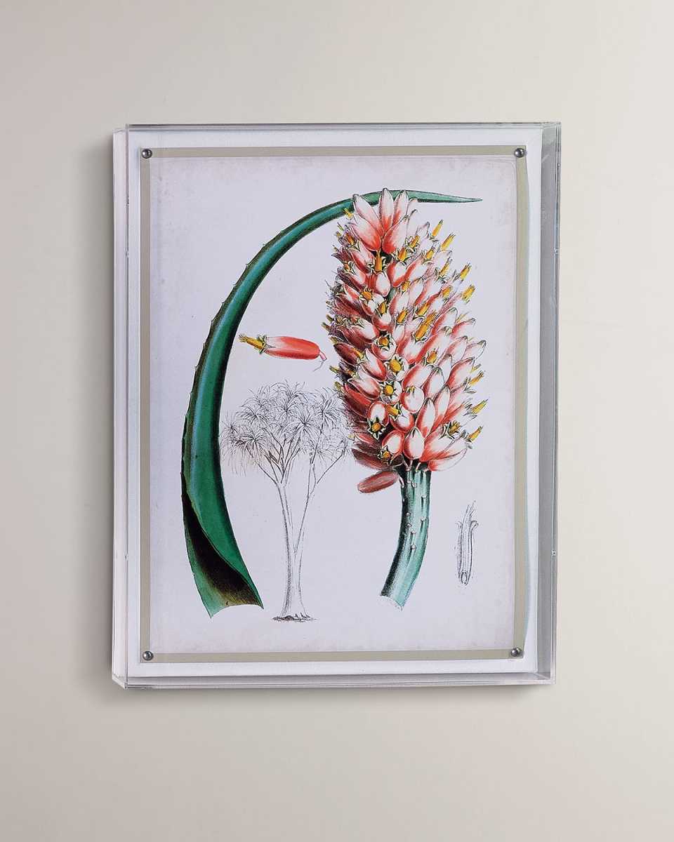 Tropical III Giclee