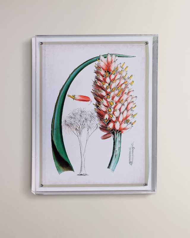 Tropical III Giclee