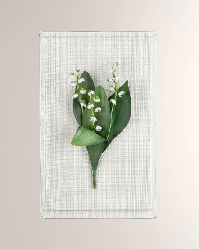 Lily of the Valley May Birth Flower Wall Art
