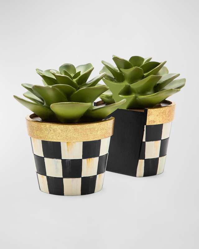 Succulent Bookends
