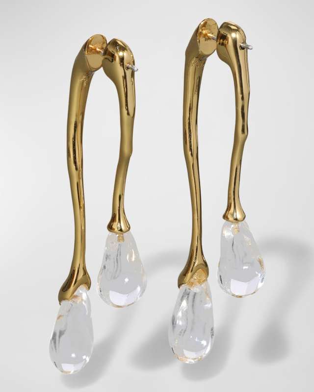Lucite Front-Back Double Drop Earrings