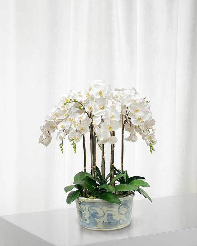 Orchids in Ceramic Pot
