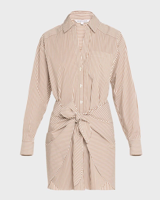 Roanoke Stripe Shirtdress