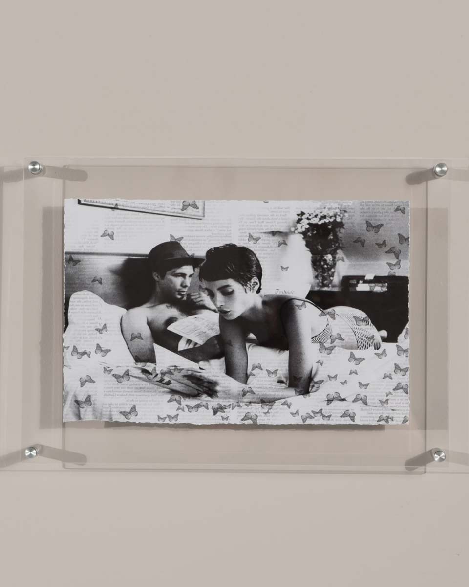 "Butterfly Stories" Print Photography Art in Plexi Frame