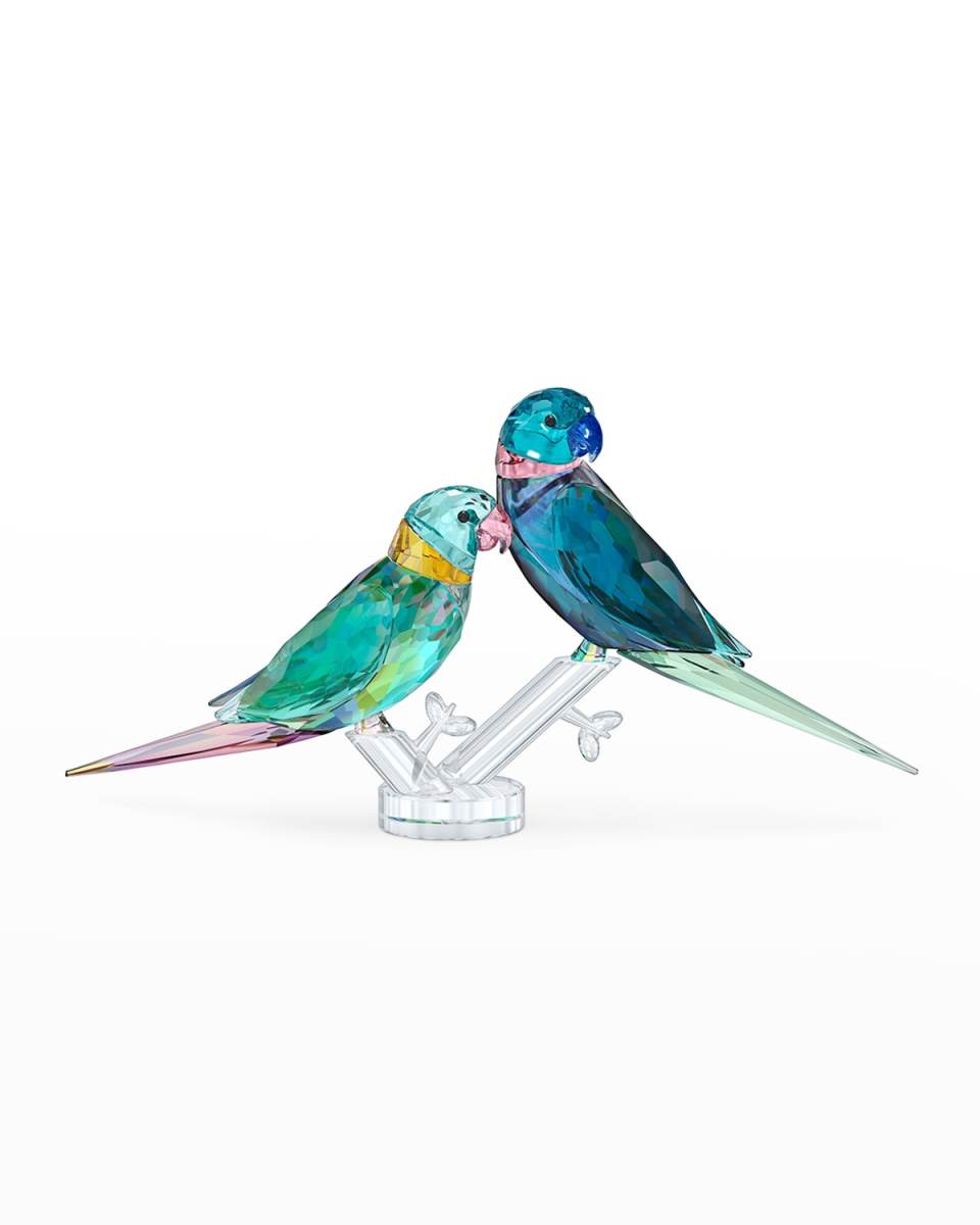 Jungle Beats Parakeet Couple Fife & Fifer