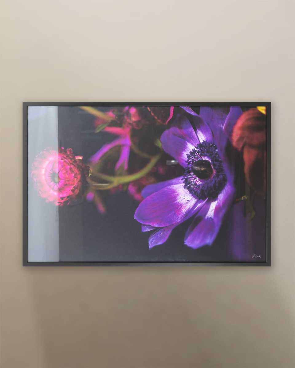 "Botanical Arrangement 1" Photo by Chris Dunker