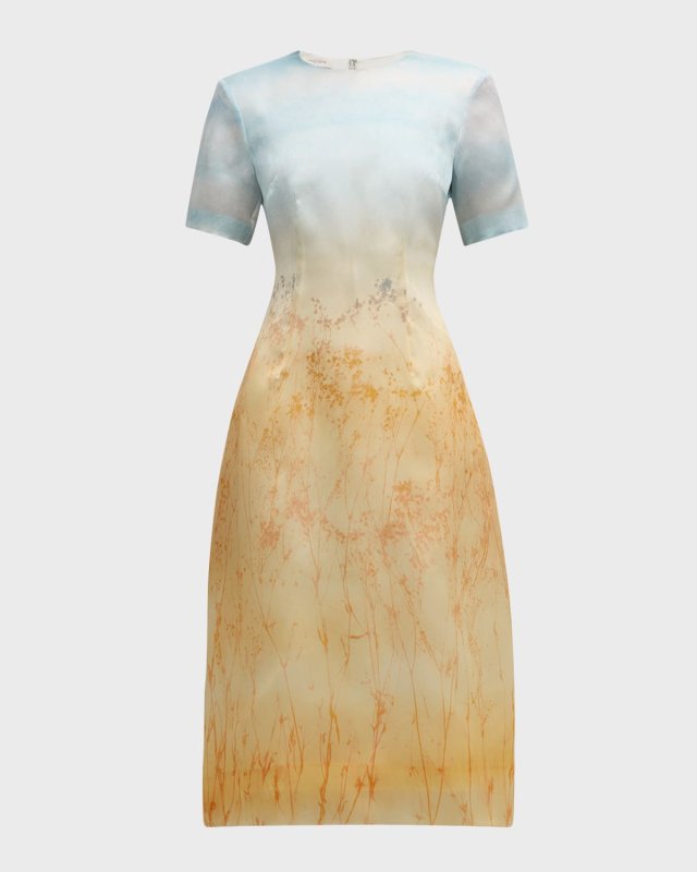 Marfa-Print Silk Organza Midi Dress