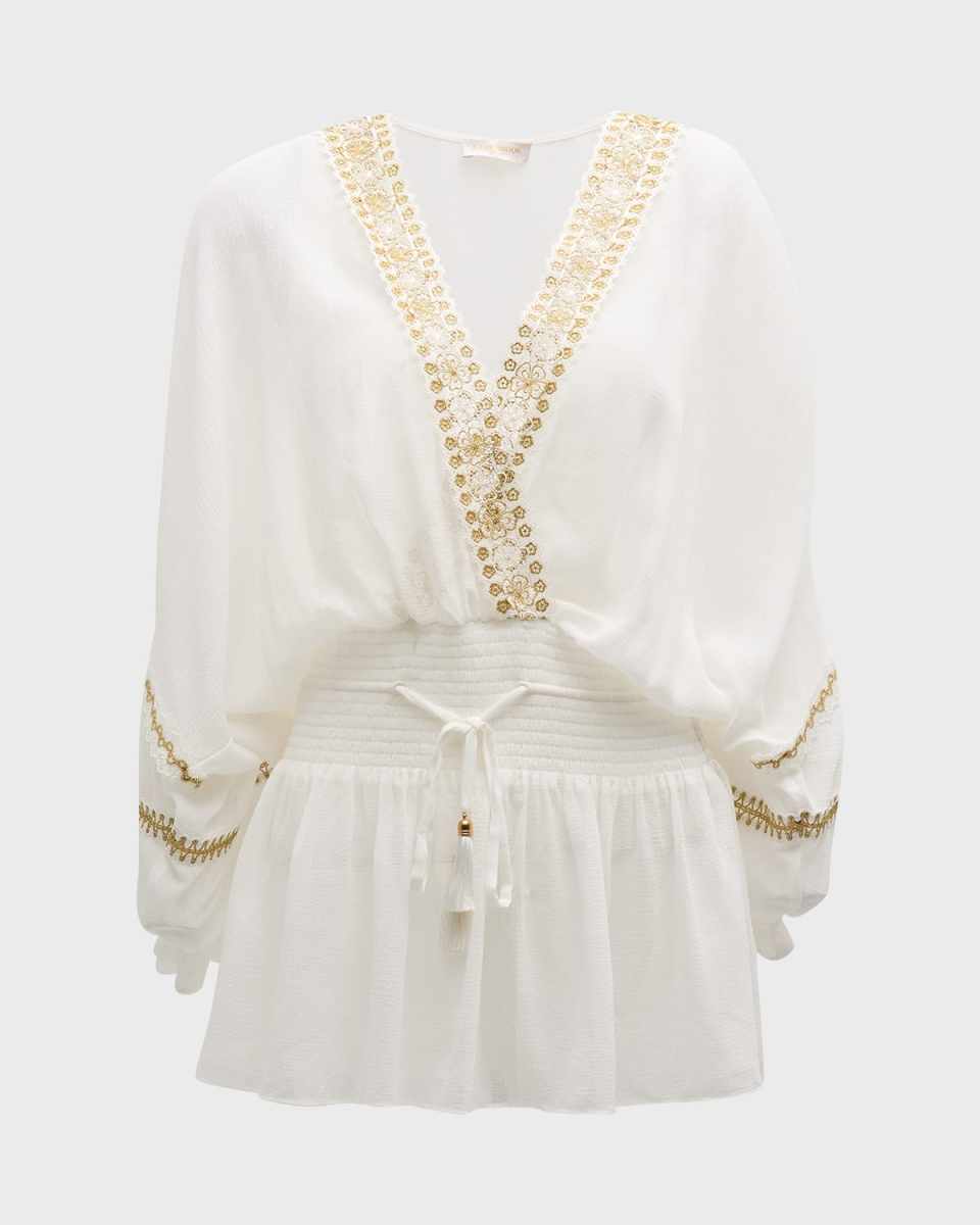 Tiffany Embroidered Semi-Sheer Mini Dress