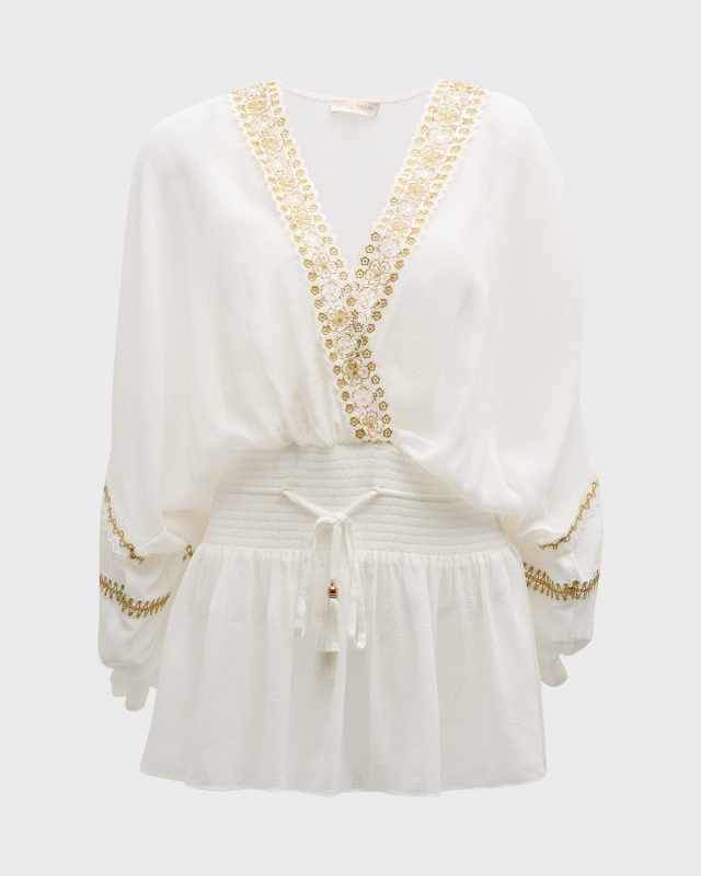 Tiffany Embroidered Semi-Sheer Mini Dress