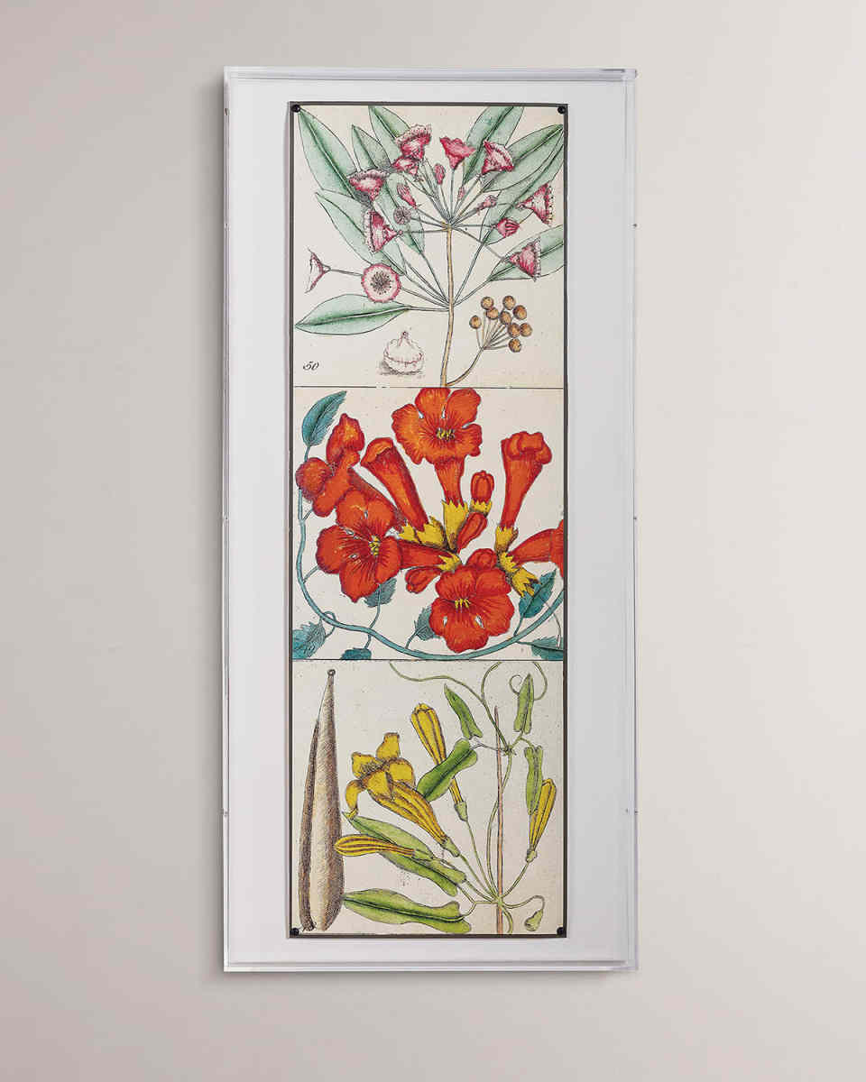 "Catesby Botanical II" Giclee Print