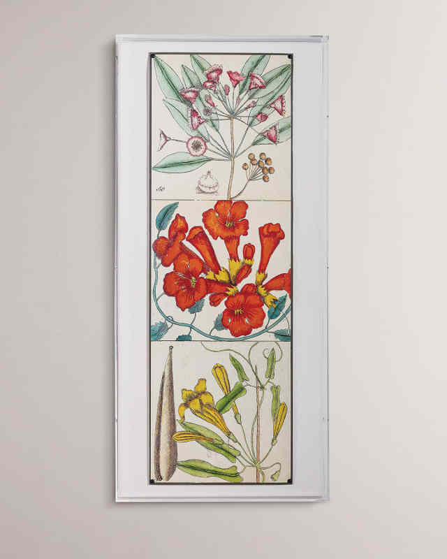 "Catesby Botanical II" Giclee Print