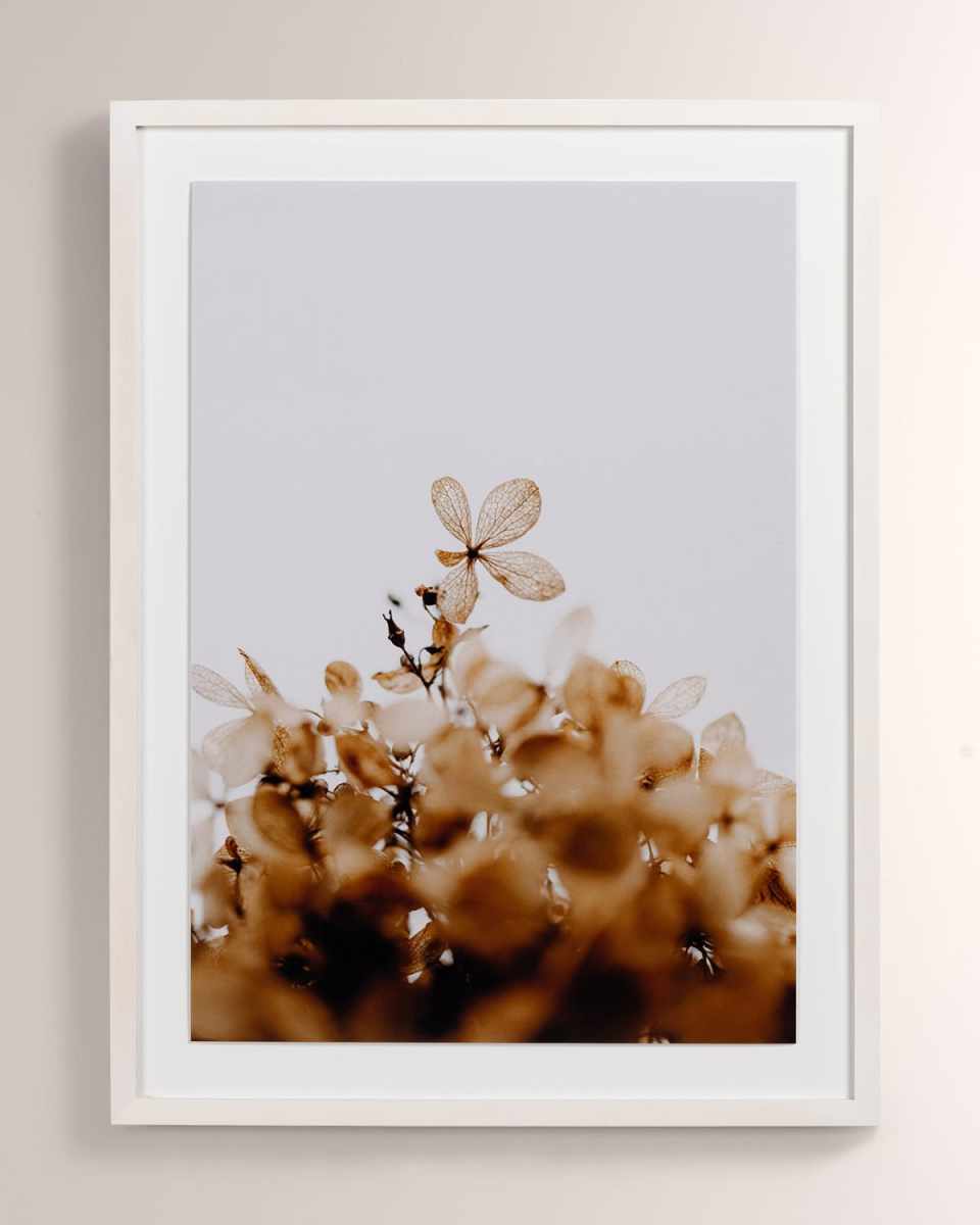 Greetings by Annie Spratt