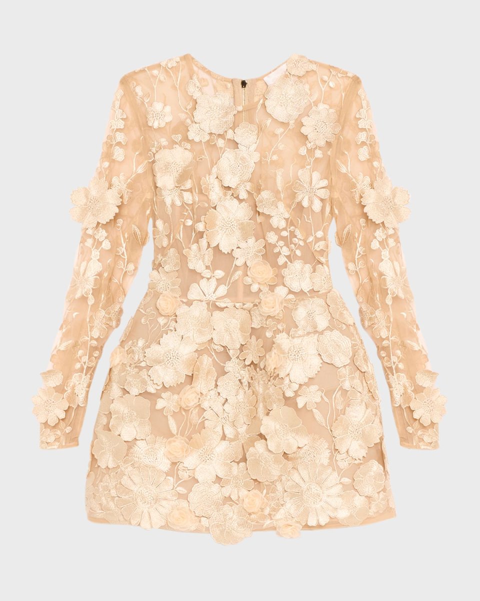 Bouquet Maraya Embroidered Illusion Mini Dress