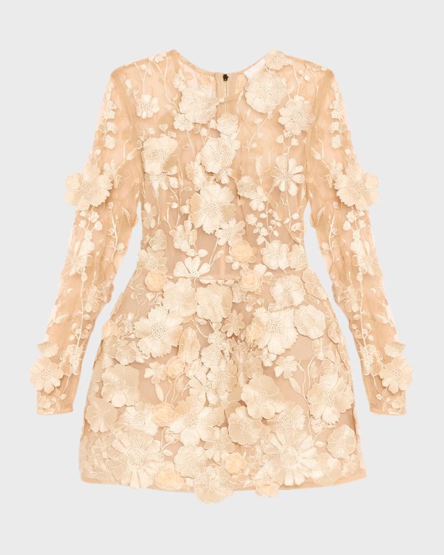 Bouquet Maraya Embroidered Illusion Mini Dress