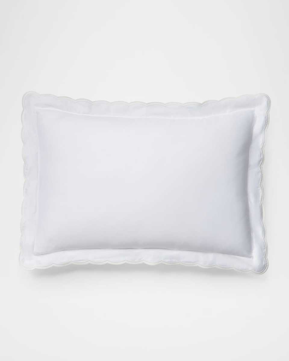 Malin Organic Cotton Scallop