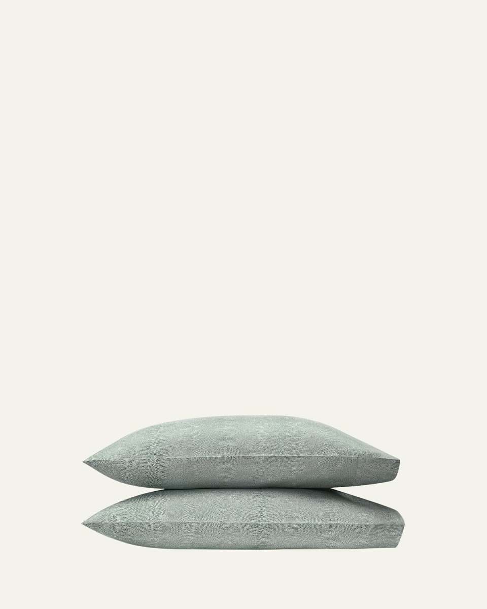 Jasper King Pillowcases, Set of 2