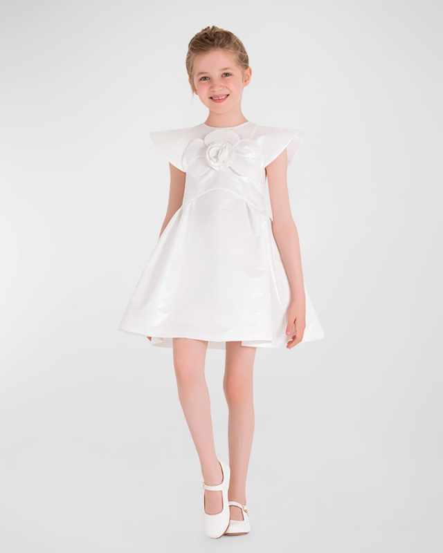 Girl's 3D Rose Applique Dress, Size 3T-10