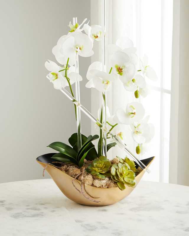 Cambridge Orchid Arrangement