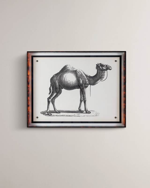 "Camel" Giclee