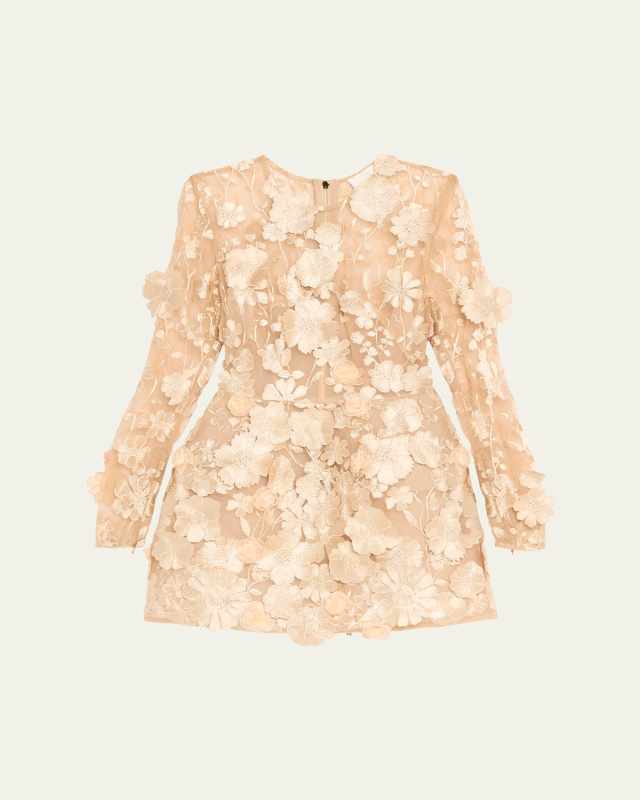 Bouquet Maraya Embroidered Illusion Mini Dress