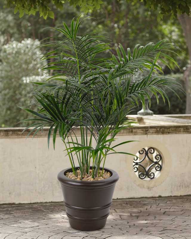 Faux Palm Kentia Tree In Ribbed Planter, 68"T