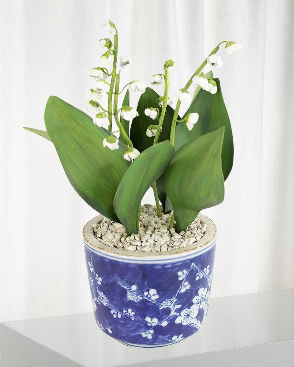 Lily of the Valley May Birth Flower in Ceramic Pot