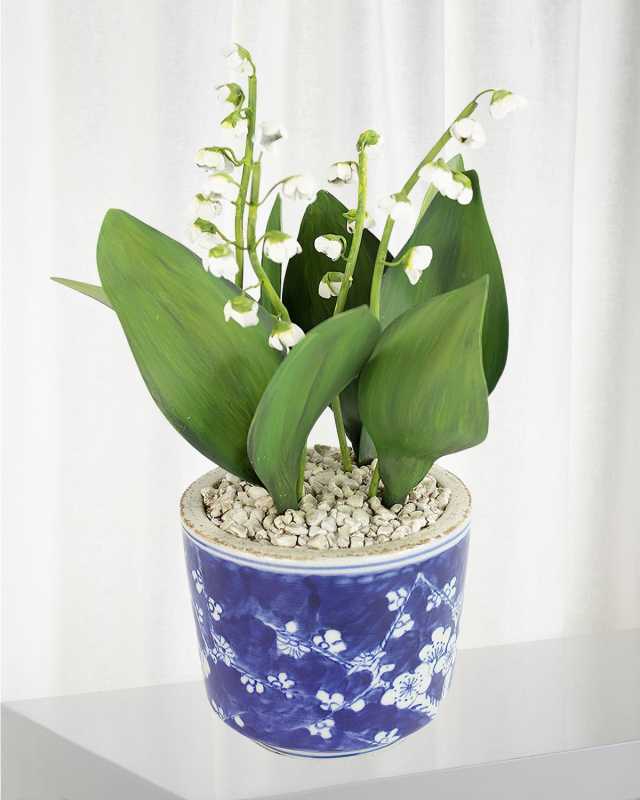 Lily of the Valley May Birth Flower in Ceramic Pot
