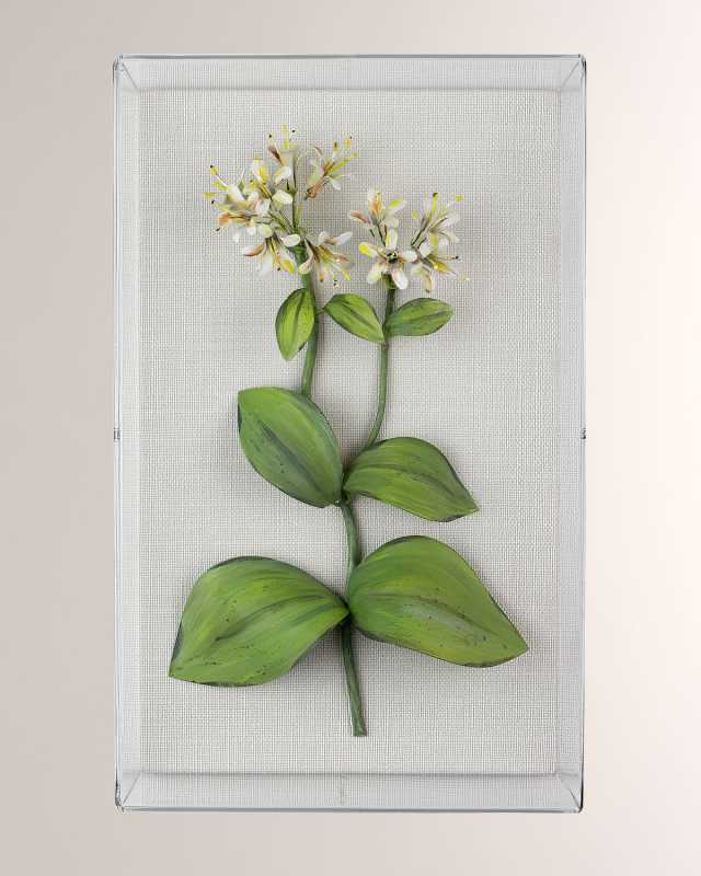 Honeysuckle June Birth Flower Wall Art