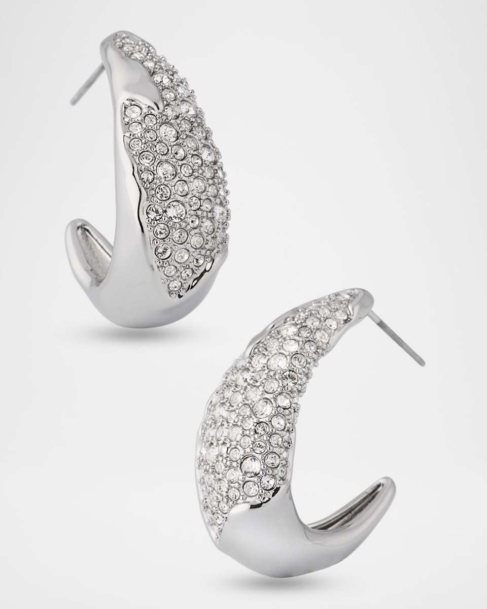 Solanales Silver Crystal Hoop Earrings