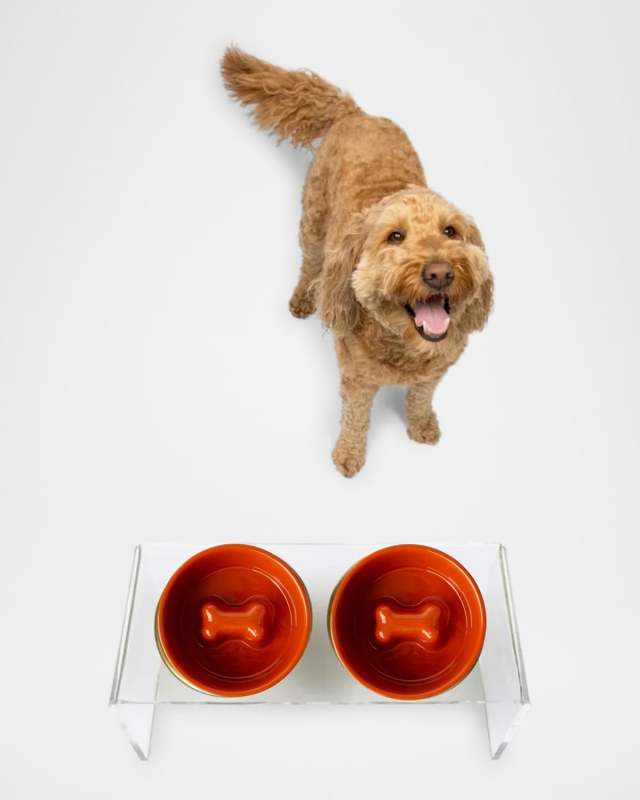 Medium Clear Double Feeder with Slow Feed Bowls, 1 Quart
