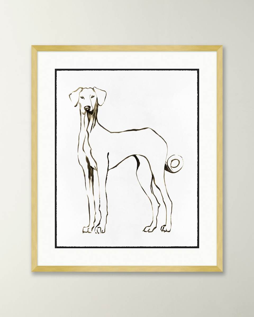 Hound Drawing 1 Giclee