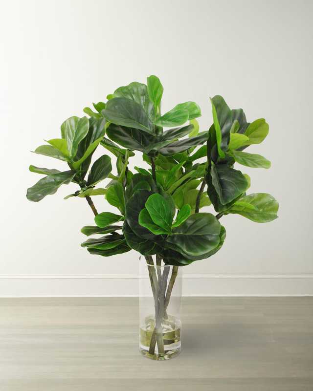 Fiddle Leaf in Round Vase