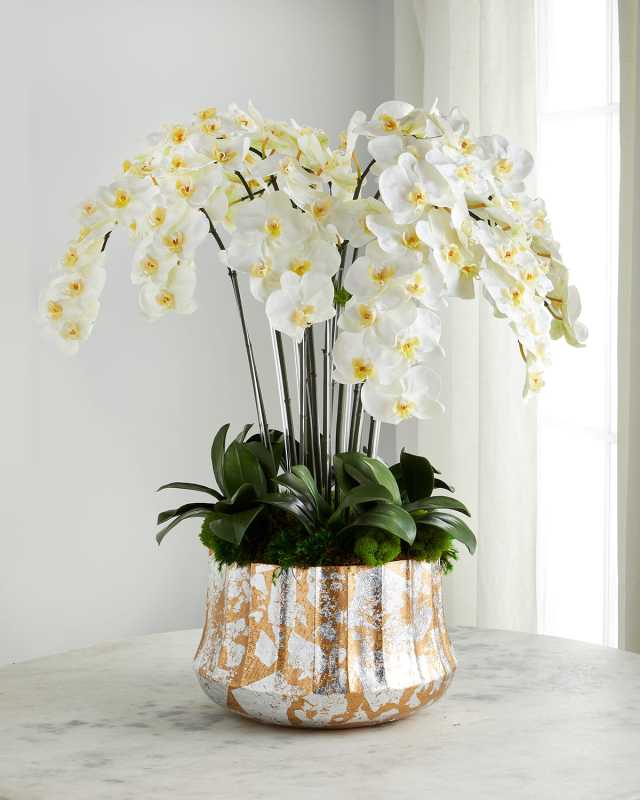 Silver Leaf Orchid Arrangement