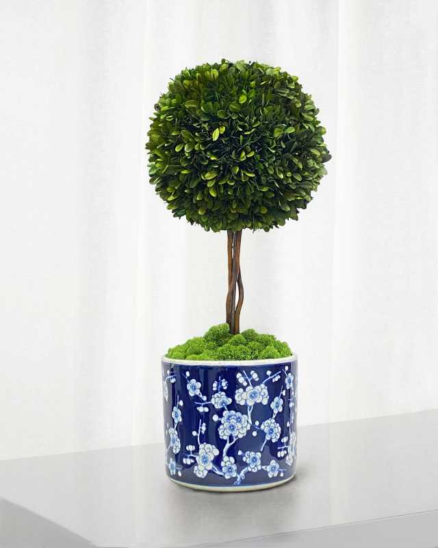 Preserved Boxwood Ball Topiary In Round Porcelain Vase - 24"