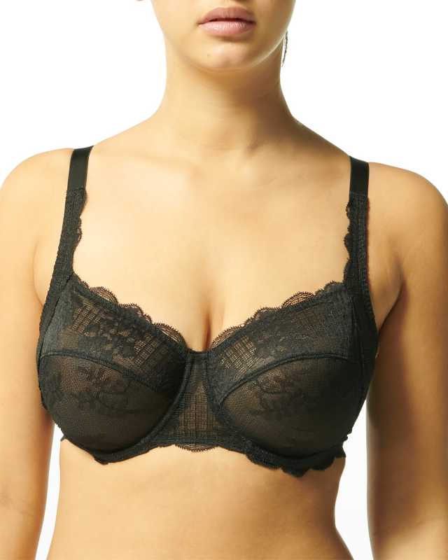 Reve Scalloped Lace Bra