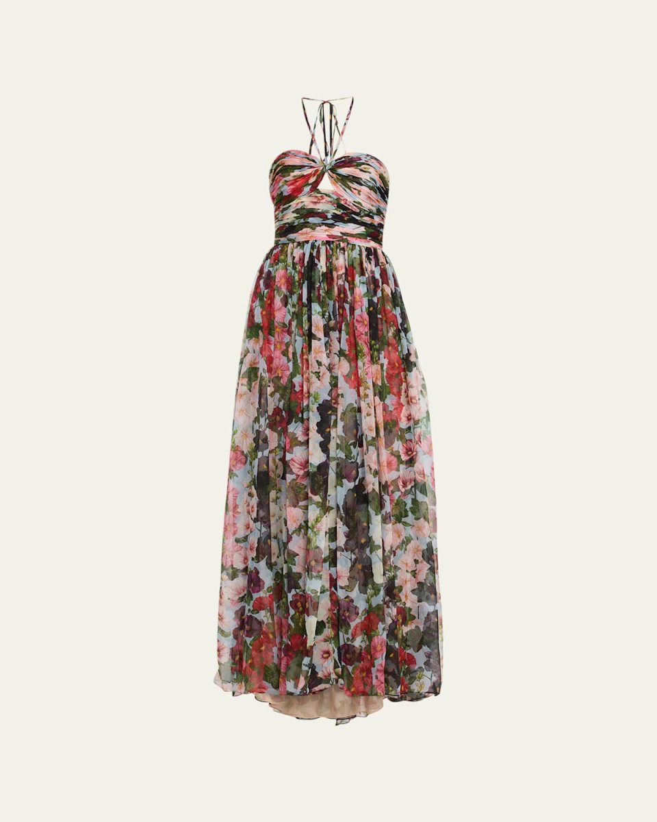 Halter Hollyhocks-Print Chiffon Gown