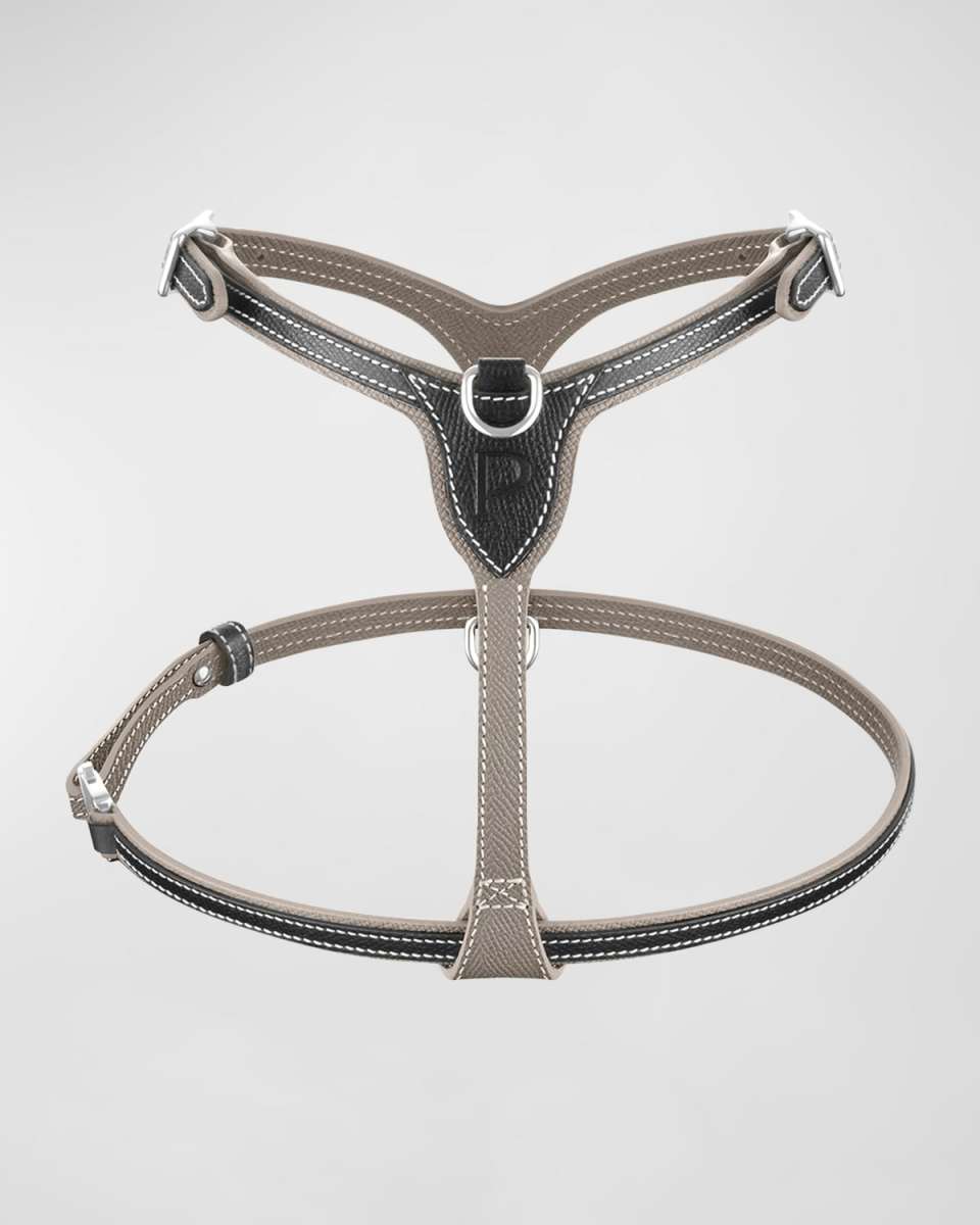Petite Leather Dog Harness