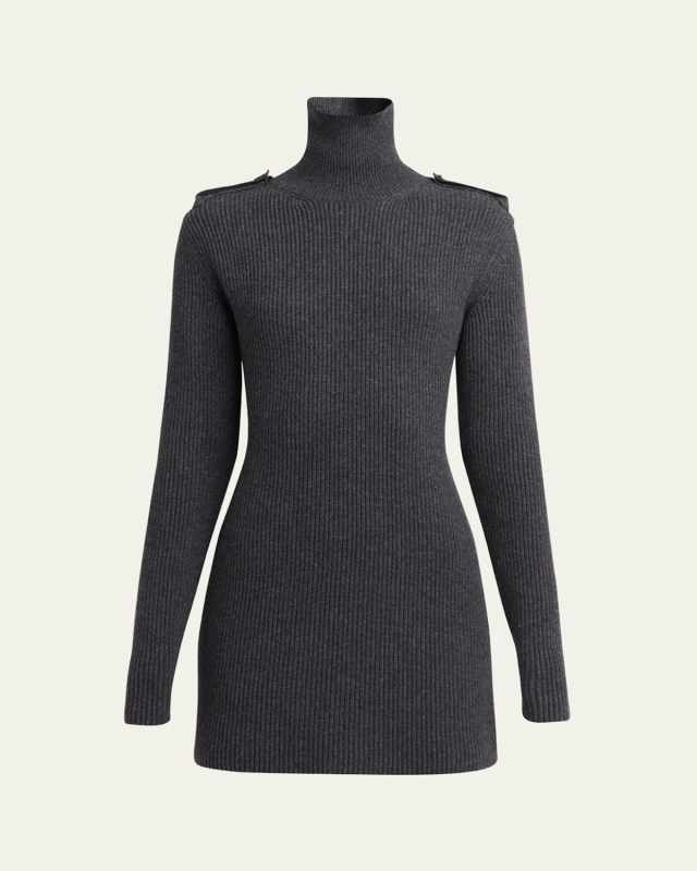 Turtleneck Wool Cashmere Mini Dress