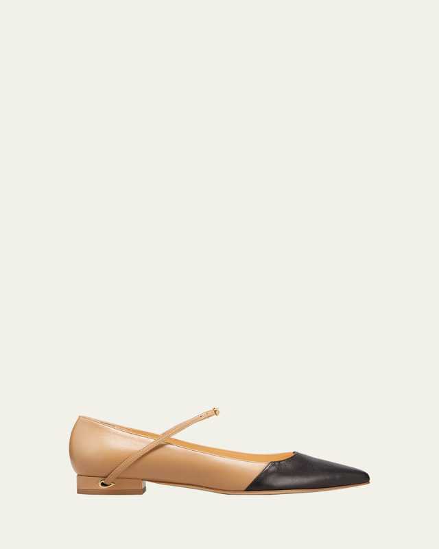 Lorenzo Bicolor Point-Toe Ballerina Flats