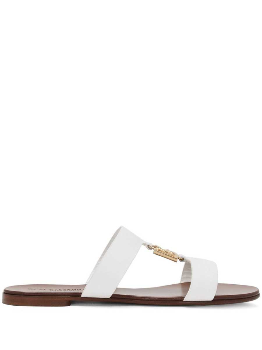 DG-logo slides