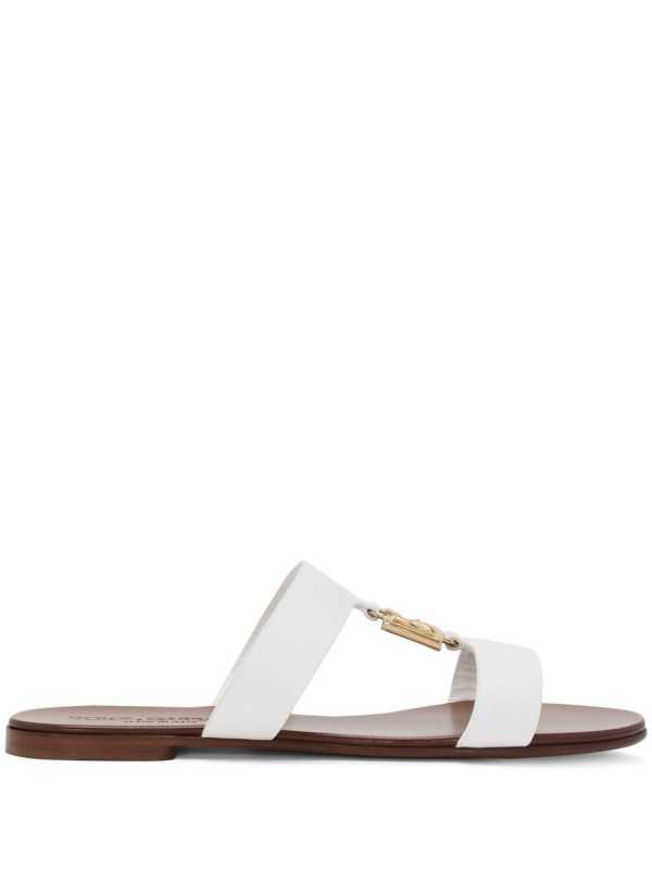 DG-logo slides