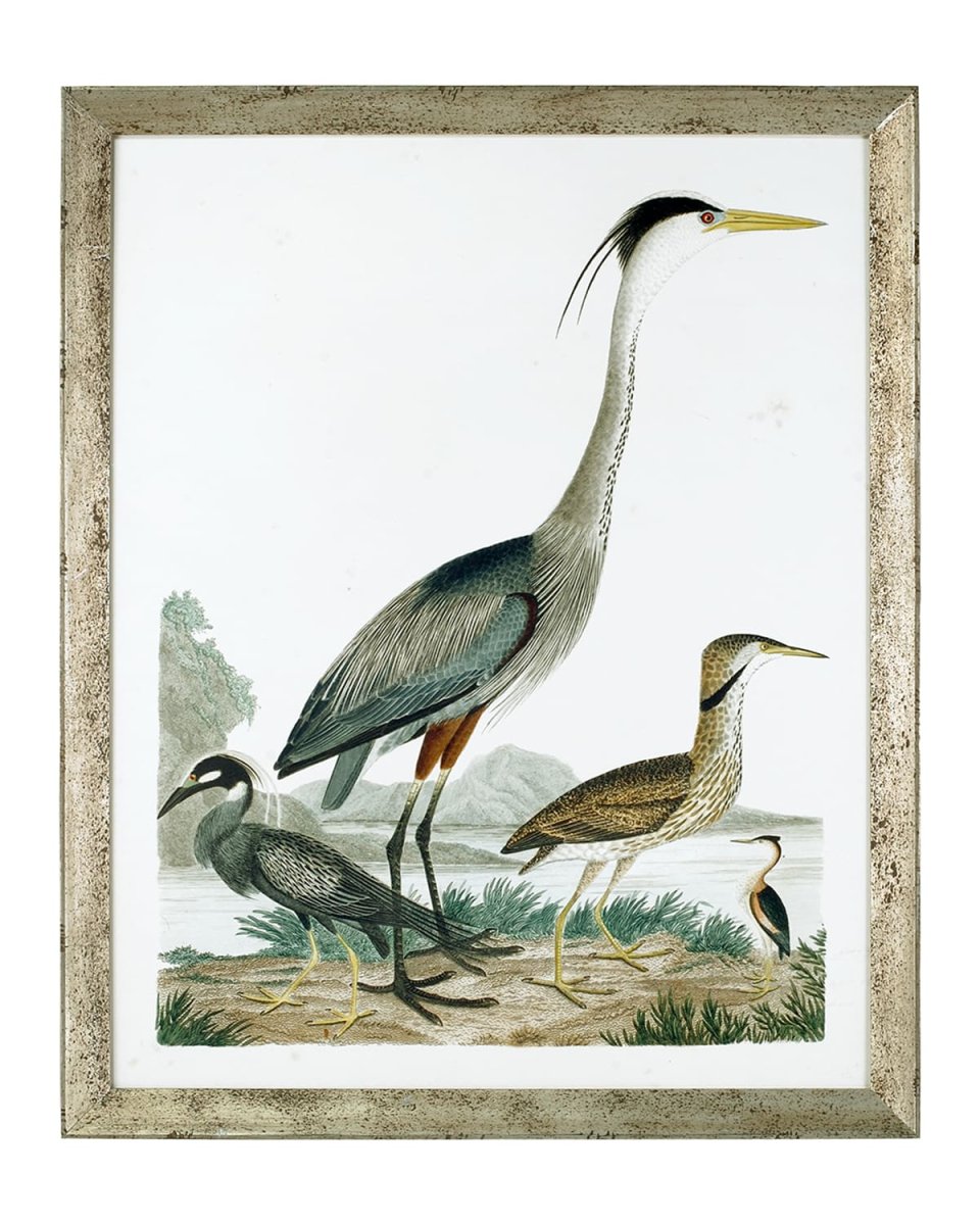 "Large Heron Family I" Art Print