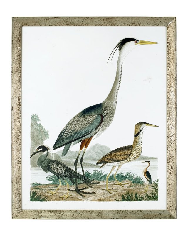 "Large Heron Family I" Art Print