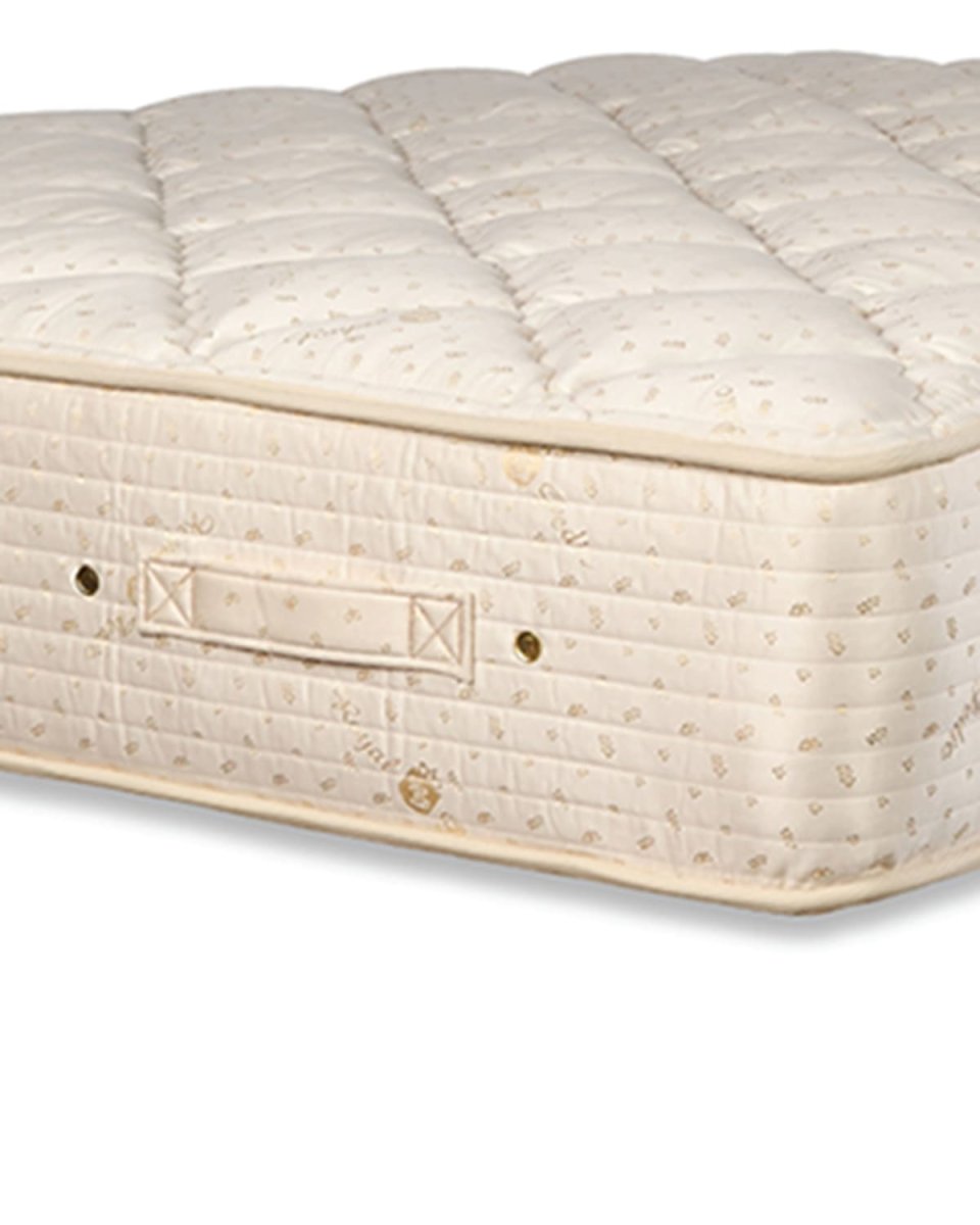 DREAM SPRING CLASSIC - PLUSH