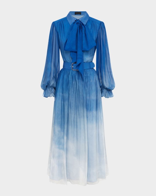Cassie Pleated Cloud-Print Midi Shirtdress
