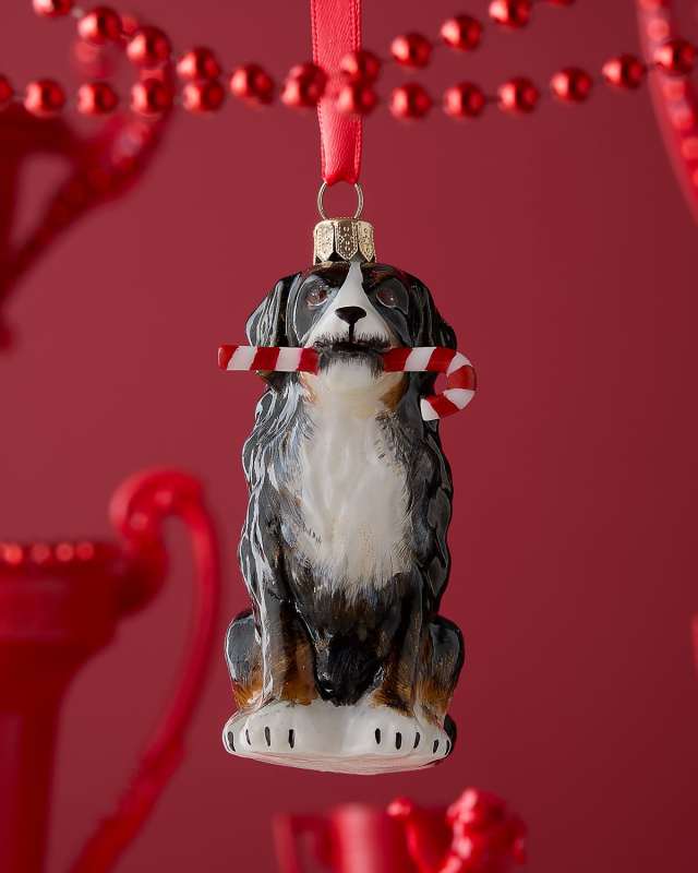 Bernese Mountain Dog W/ Candy Cane Christmas Ornament