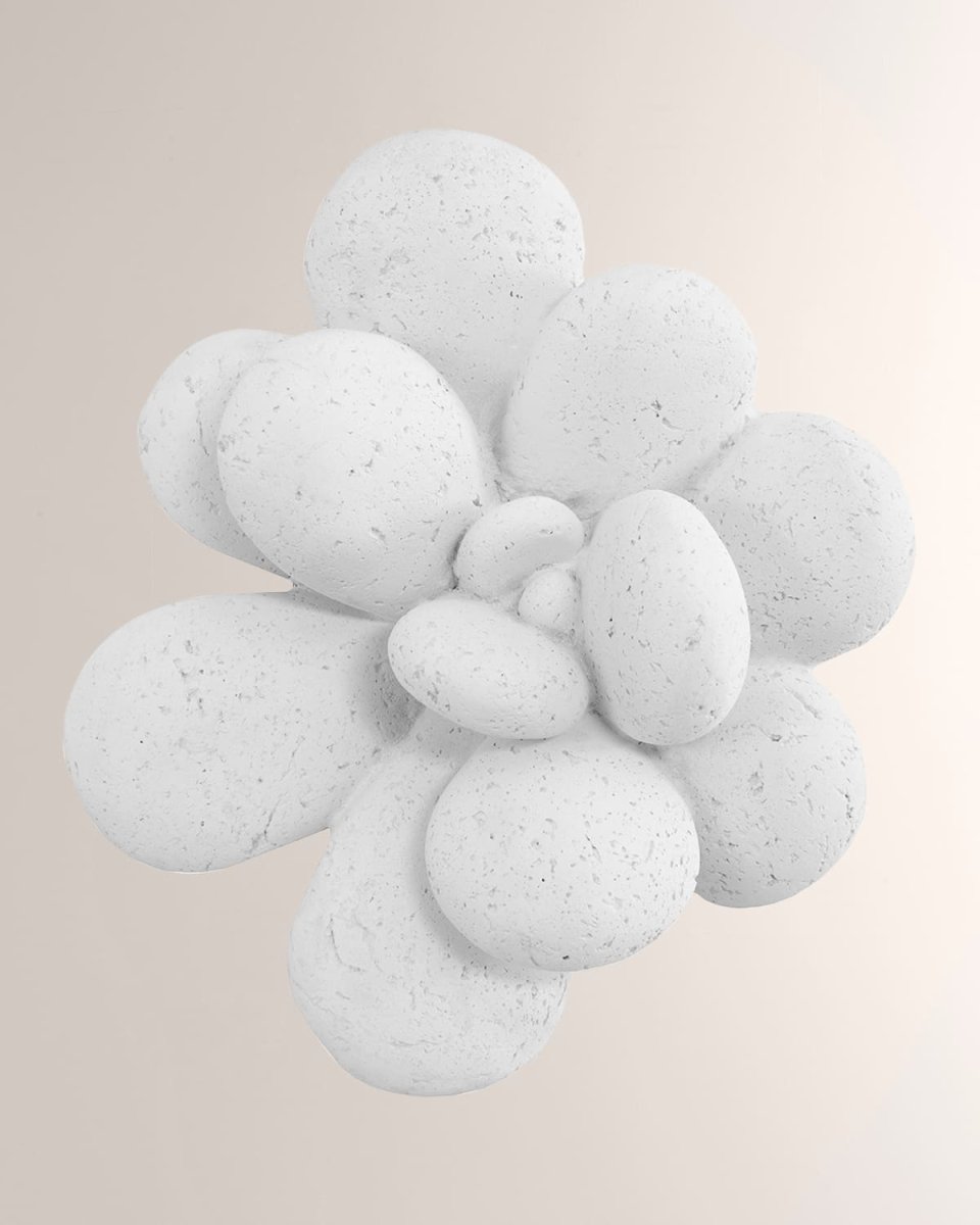 Oviferum Succulent Wall Art, White Stone