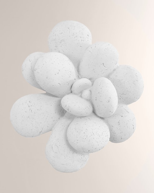 Oviferum Succulent Wall Art, White Stone