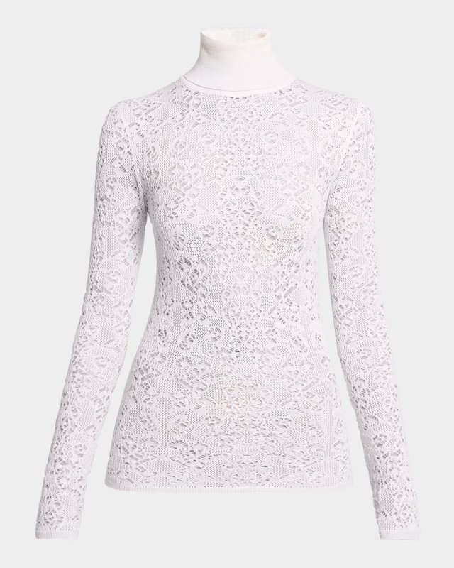 Meret Turtleneck Lace Net Sweater