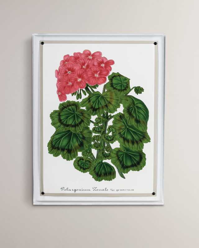 "Geranium I" Giclee Print